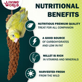 Living World – Millet Spray for Birds, 5 Pounds – Premium Treat for Budgies, Canaries, Finches, Cockatiels and Other Pet Birds