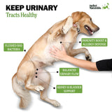 Deley Naturals Dog UTI Chews - Vet-Grade Cranberry Supplement for Dogs with D-Mannose & Echinacea for Bladder & Urinary Tract Health - Urinary Tract Supplements for Small to Large Breeds - 120 Chews