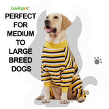 LovinPet Big Dog Pajamas, Cotton Black and Yellow Stripe Dog Shirt, Full Coverage Dog Onesie, Pet Pajamas for Dogs, Stop Shedding for Dogs, Pet PJ's, 3XL