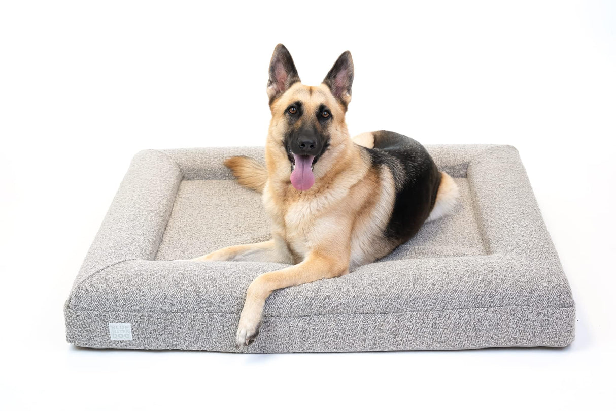 Bluewater Dog Luxury Boucle Orthopedic Memory Foam Dog Bed with Waterproof Liner and Machine Washable Cover with YKK Zippers (Large, 45" L x 36" W x 7" Th, Sand)