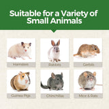 TEEWY Guinea Pig Chew Toys, Prevent Teeth Overgrowth, Natural Timothy Grass & Vegetables, Hamster Chew Toys, Guinea Pig Toys, Chinchilla Toys, 4PCS, Grass Patch & Mushrooms