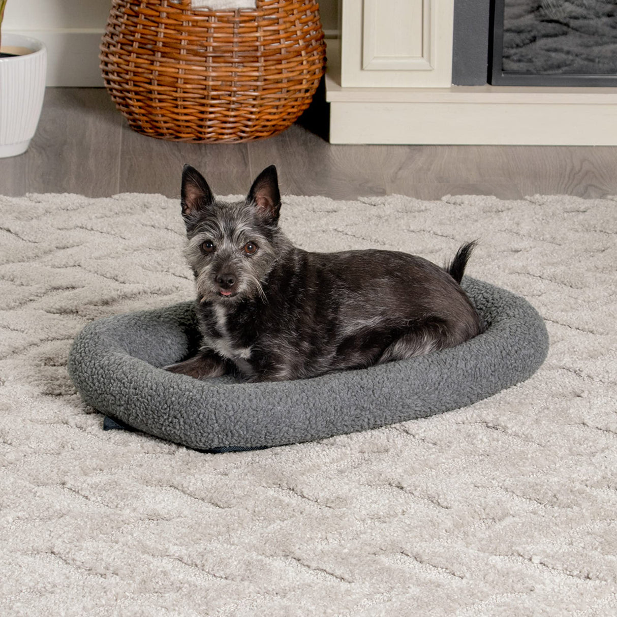 Furhaven Dog Bed for Extra Small Dogs & Indoor Cats, 100% Washable, Sized to Fit Crates - Sherpa Fleece Bolster Crate Pad - Gray, Extra Small (Pack of 2)