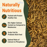 Supreme Grubs Natural Black Soldier Fly Larvae for Chickens, 85X More Calcium Than Mealworms-High Protein Grub Food Chicken Treats for Hens, Probiotic-Rich Chicken Feed, Calcium-Dense Bird Treat 5lb