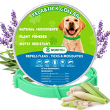 Trihood Natural Flea & Tick Prevention Dog Collars – 2-Pack Adjustable Waterproof Collars with Essential Oils (Lemon Eucalyptus, Citronella, Lavender, Linalool), Safe for All Breeds