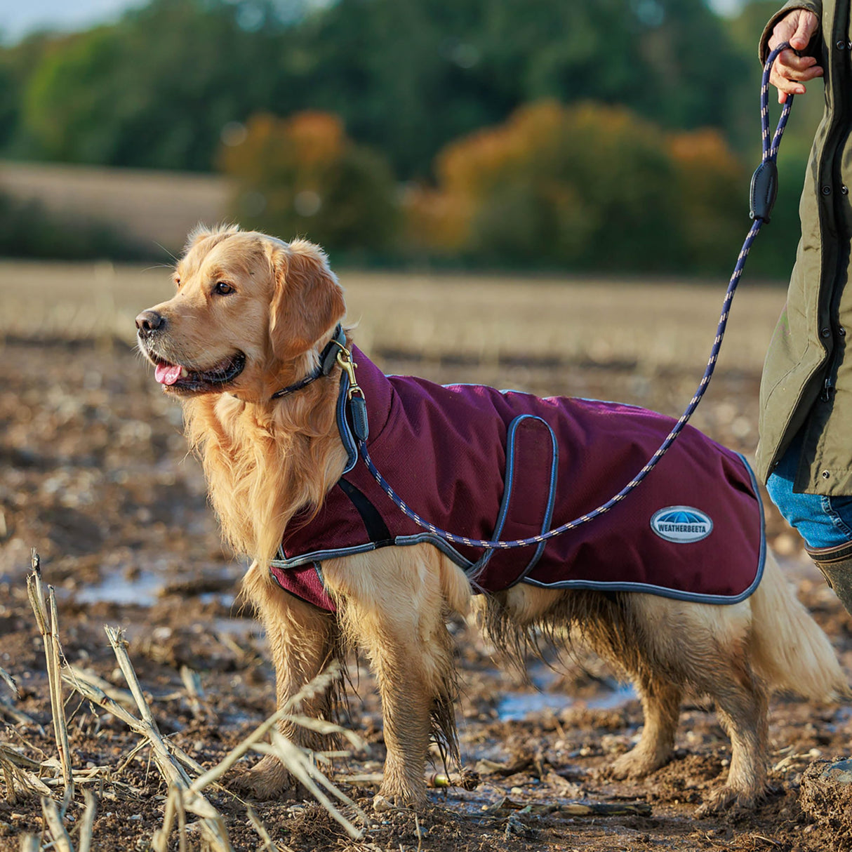 WeatherBeeta ComFiTec Premier Free Parka Deluxe Dog Coat Medium, Maroon/Grey/White, 28"