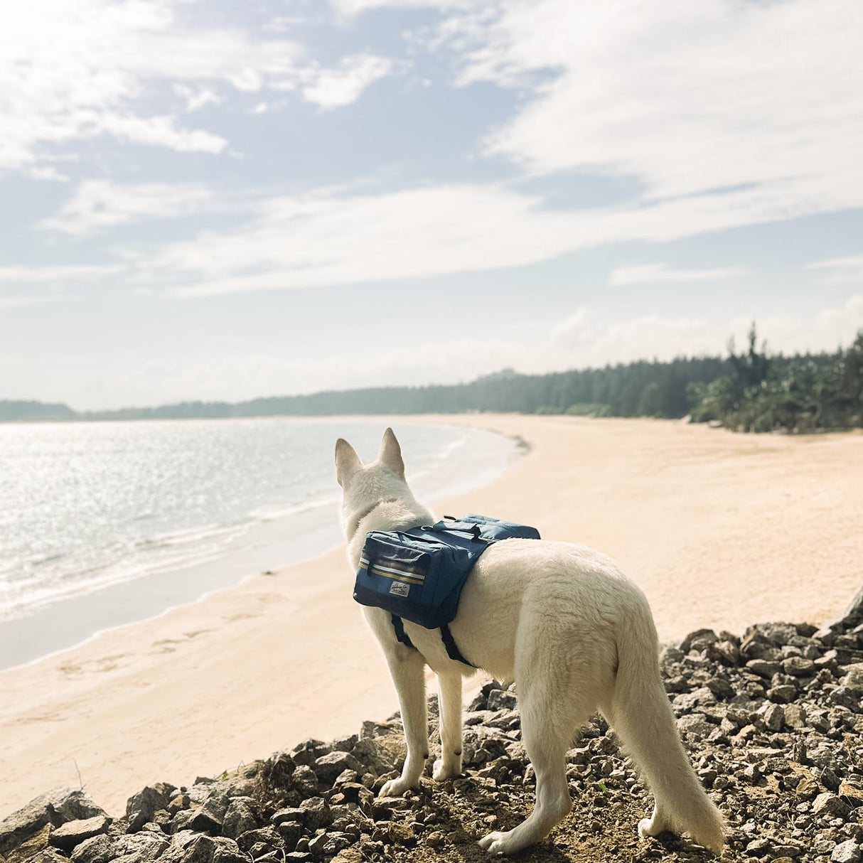 HOWLIDAYS CO. Dog Backpack Harness for Medium & Large Breeds Dogs – Dog Hiking Saddle Bag with Handle & Large Side Pockets for Camping & Day Trips