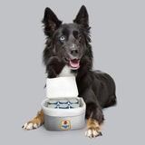 design LAB, Inc. Natural Light Beer Dog Toy | Tailgate Pack Plush Toy Cooler with Rubber Can Six Pack & Official Logo Bandana Bundle | Squeaky Novelty Toys for Dogs and Beer Lovers