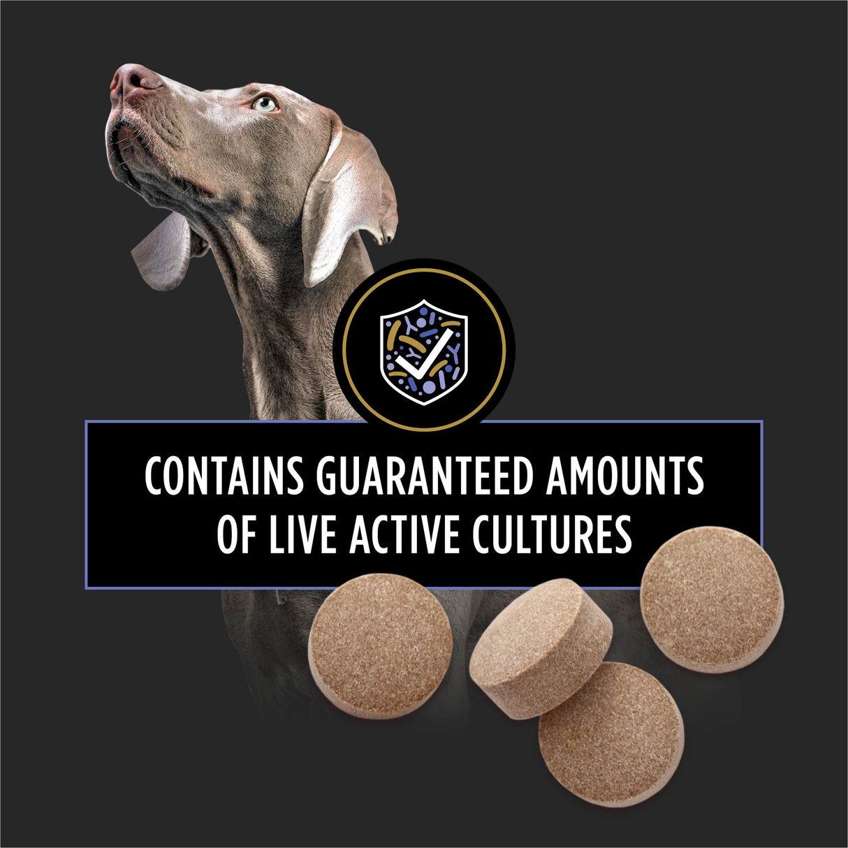 Purina Pro Plan Veterinary Supplements FortiFlora Probiotics for Dogs Chewable Tablets for Digestive Gut Health and Diarrhea - 90 ct. Canister