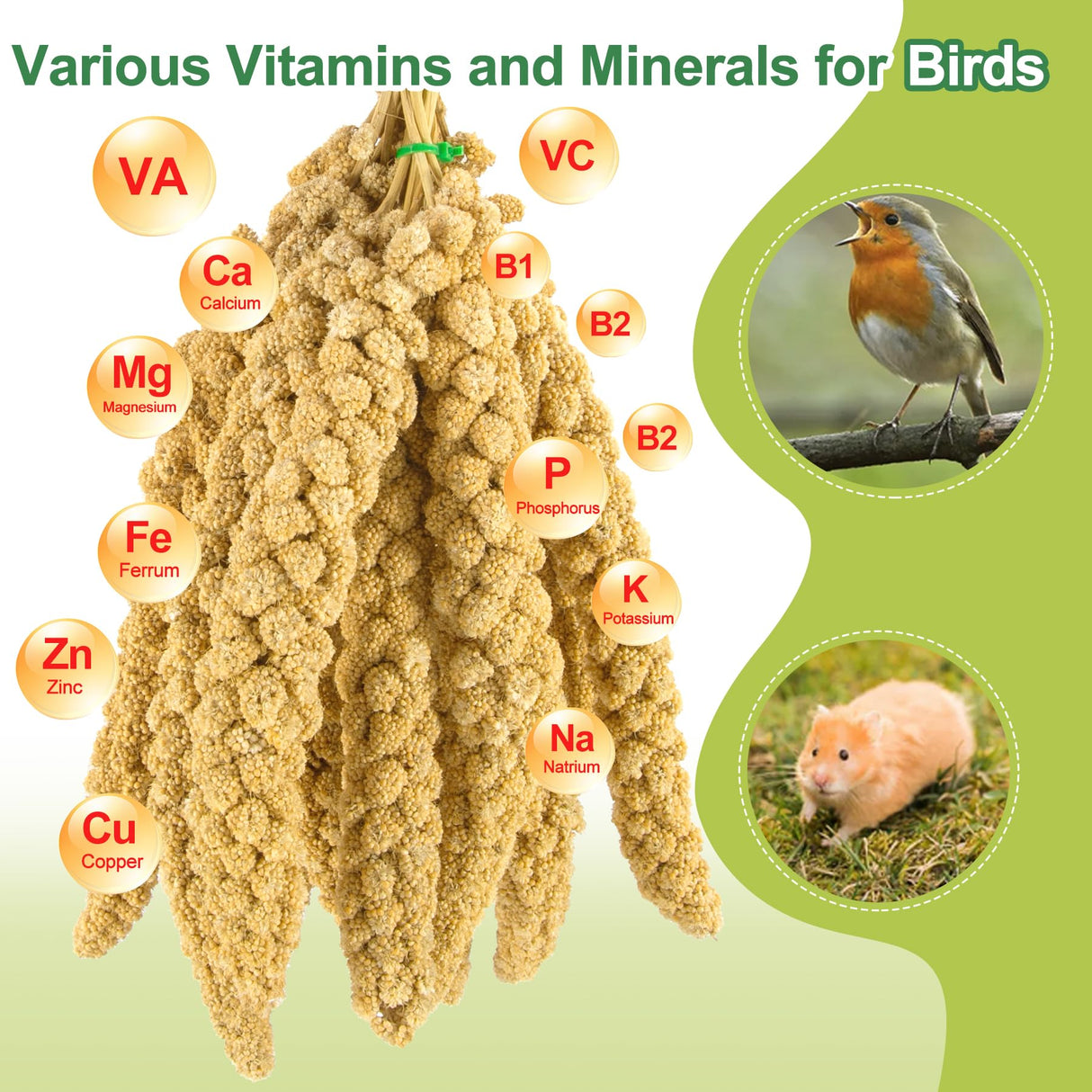 MEILLEURE 2LB Spray Millet Bird Treat for Parakeets, Natural Sun-Dried Birds Millet Spray for Parrots, Finches, Cockatiel, Budgie & Hamster, Bird Food Bulk
