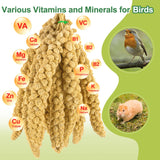 MEILLEURE 2LB Spray Millet Bird Treat for Parakeets, Natural Sun-Dried Birds Millet Spray for Parrots, Finches, Cockatiel, Budgie & Hamster, Bird Food Bulk
