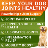 Glucosamine for Dogs w/Chondroitin - Hip & Joint Supplement for Dogs w/Omega-3 Fish Oil - Chondroitin MSM - Advanced Mobility Chews - Joint Pain Relief - Hip & Joint Care - Made in USA (180Ct)