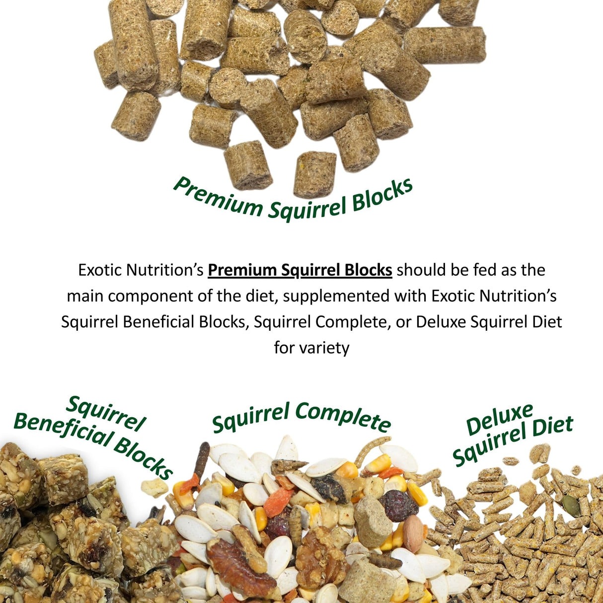 Exotic Nutrition Squirrel Complete (4 lb.) - Healthy Natural Food for Squirrels - Ground, Grey, and Flying Squirrels
