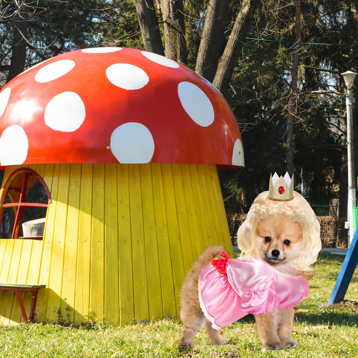 Huhumy 3 Pcs Halloween Princess Pet Costume Set, Pink Princess Pet Costume Including 1 Pink Dress, 1 Golden Wig, 1 Crown for Cosplay, Halloween Costumes, Small to Medium Body Types