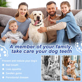 ETACCU Dog Plaque Remover for Teeth, Dog Plaque Remover Tool with LED Light, 5 Modes Teeth Cleaning Tools, Low Noise Pet Tooth Brushing Kit Dental Tools for Dog and Cat, White