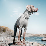 Hurtta Body Warmer Dog Body Suit, Recovery Suit, Carbon Grey, 10M