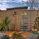 VINGLI Bird Cage with Rolling Stand for Parrots, Cockatiels, Budgies, Lovebirds, Small/Medium Birds (62“H with Play Top)
