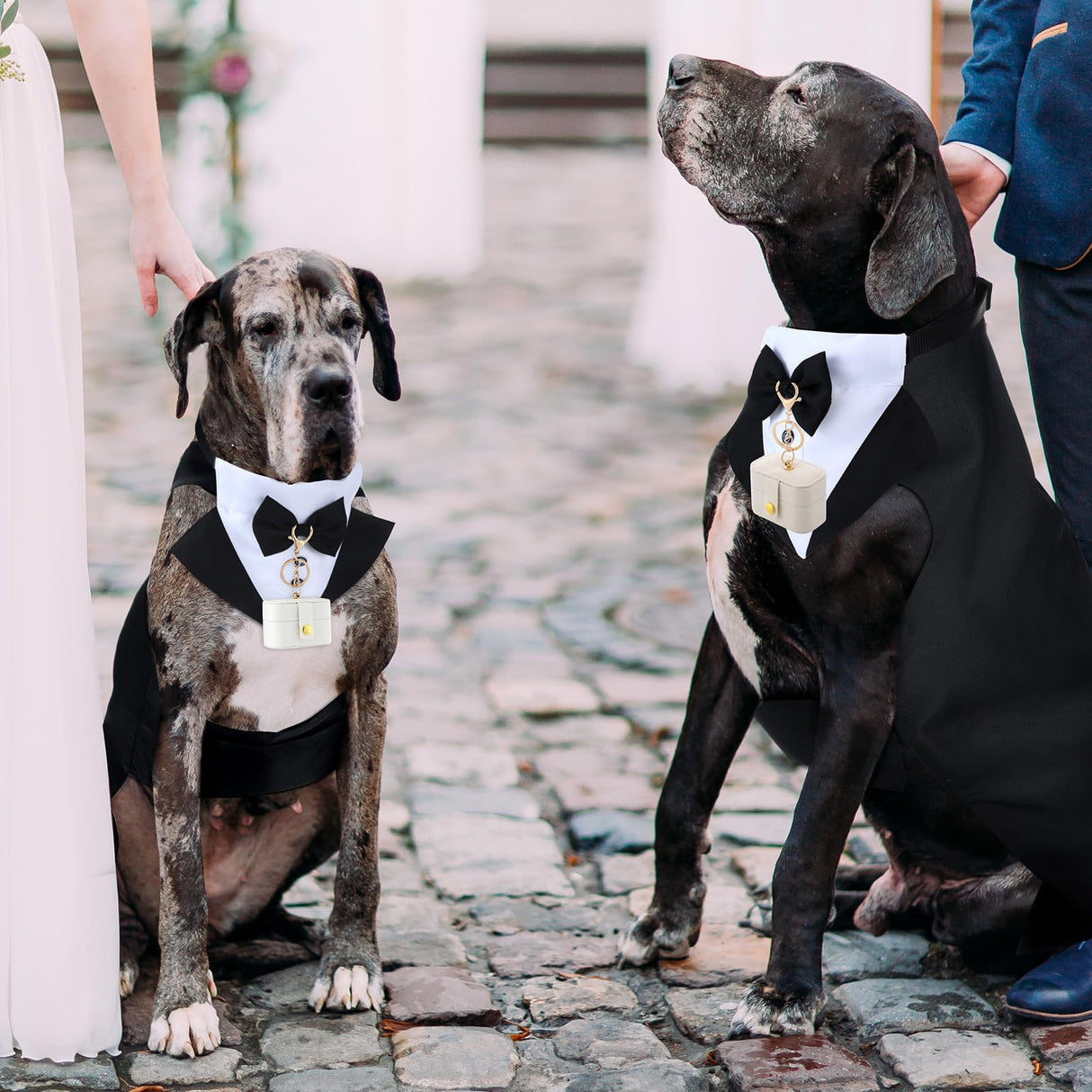 Huhumy 4 Pcs Dog Wedding Tuxedo Outfit for Large Dogs Pet Ring Box Security Gift Set Include Wedding Ring Holder Pouch Box Formal Dog Tux PU Leather Leash Black Gentleman Pet Tux with Bowtie Set