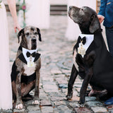 Huhumy 4 Pcs Dog Wedding Tuxedo Outfit for Large Dogs Pet Ring Box Security Gift Set Include Wedding Ring Holder Pouch Box Formal Dog Tux PU Leather Leash Black Gentleman Pet Tux with Bowtie Set