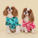 Fitwarm Hawaiian Coconut Palm Dog Shirt, Tropical Summer Clothes for Small Dogs Boy, Pet Collared Outfit, Light Sea Green, Black, XS