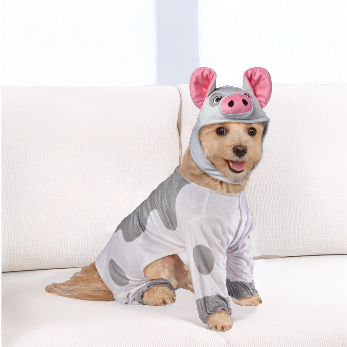 Disney Moana: Pua Pet Costume for For Dogs or Cats by Rubies, Medium