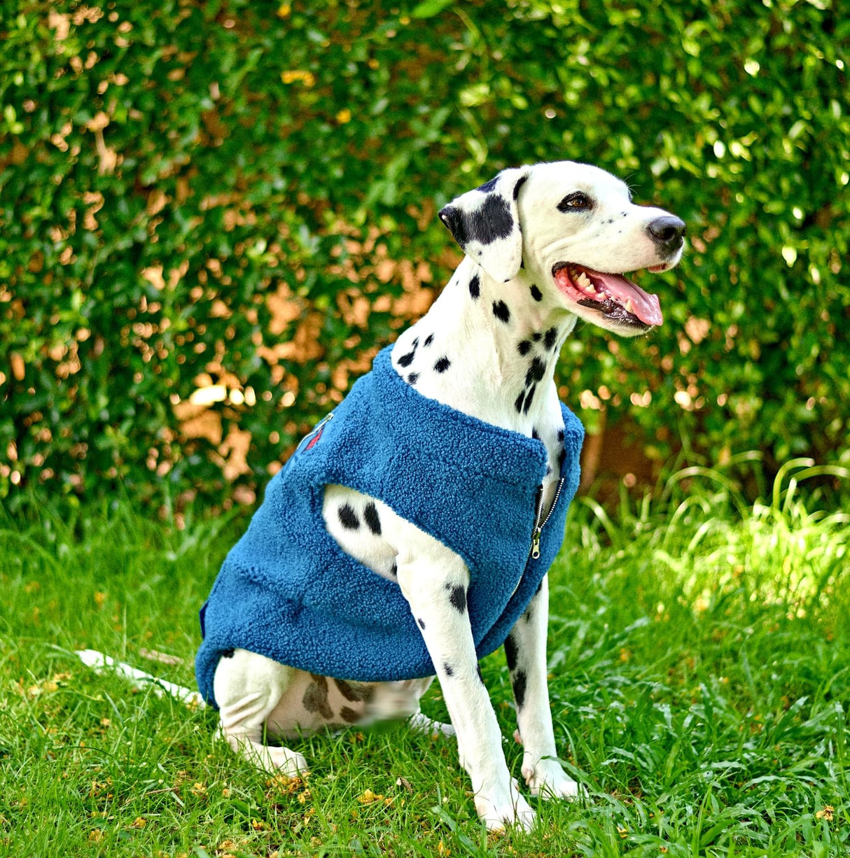 Tuff Pupper Reversible Fleece Sweater Vest for Dogs | Lightweight Comfortable Insulated Jacket | Front Zip Closure | Machine Washable | Built-in Leash Hole | Sizes for All Breeds (XL, Teal)
