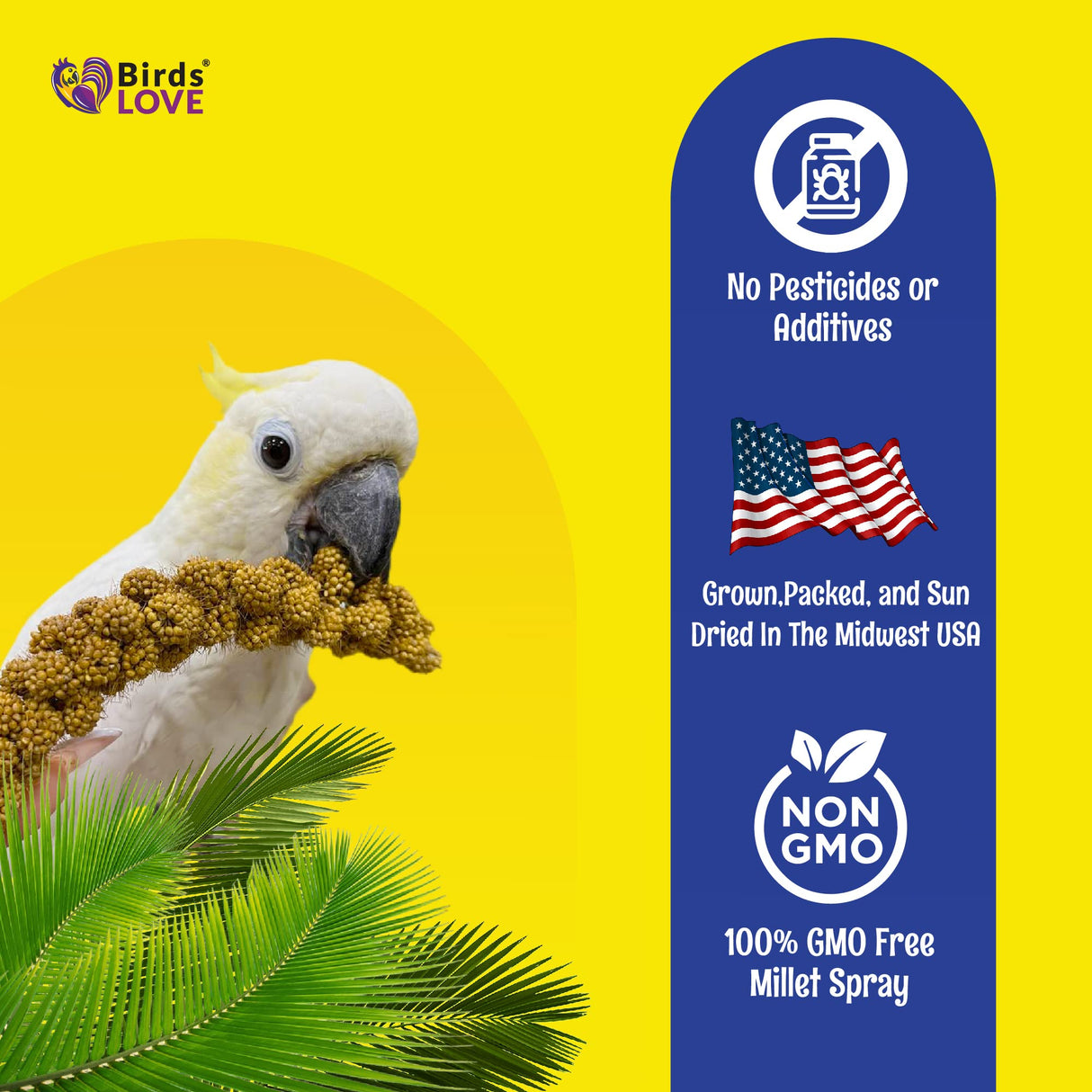 Birds LOVE Economy Special Spray Millet | GMO-Free (No Stems Only Edible Tops) for Birds Cockatiel, Lovebird, Parakeet, Finch, Canary All Parrots Healthy Treat 7 oz -Pack of 2