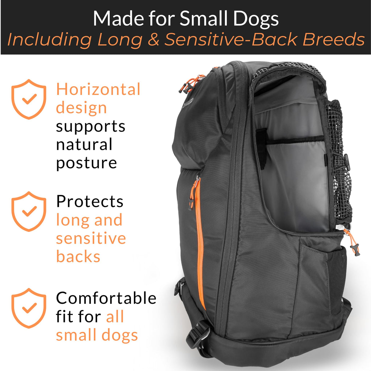 DJANGO Dog Carrier Backpack – Pet Backpack for Small Dogs & Cats with Hip Belt, Laptop Pocket & Water Bottle Sleeve – Travel Dog & Cat Carrier for Hiking, Camping & Commuting (Midnight Black)