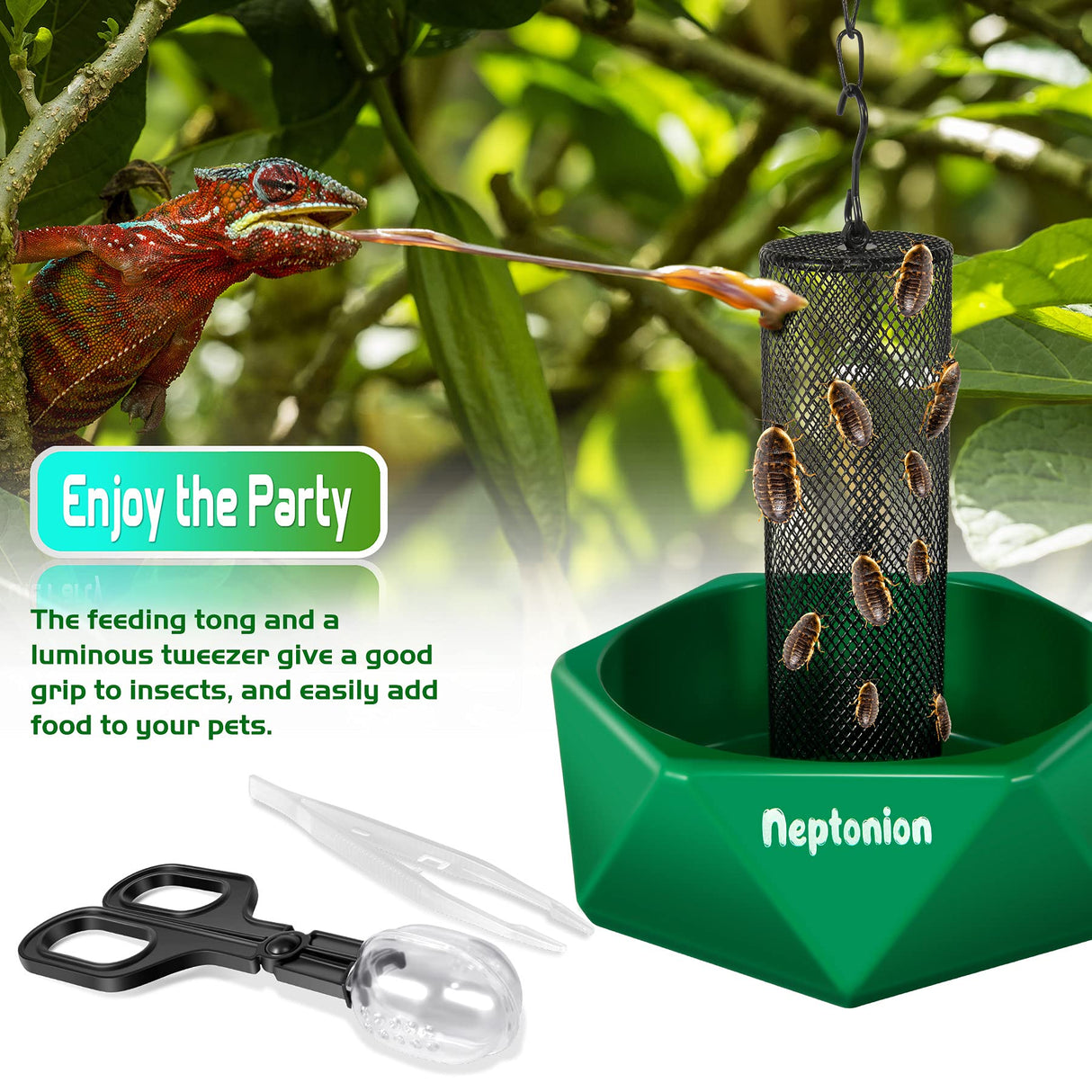NEPTONION Hookable Chameleon Feeding Bowl, Professional Live Worm Organizer with Column for Prey to Climb and Move, Suitable for Lizard, Bearded Dragon, Iguana, Gecko, Toad, Frog