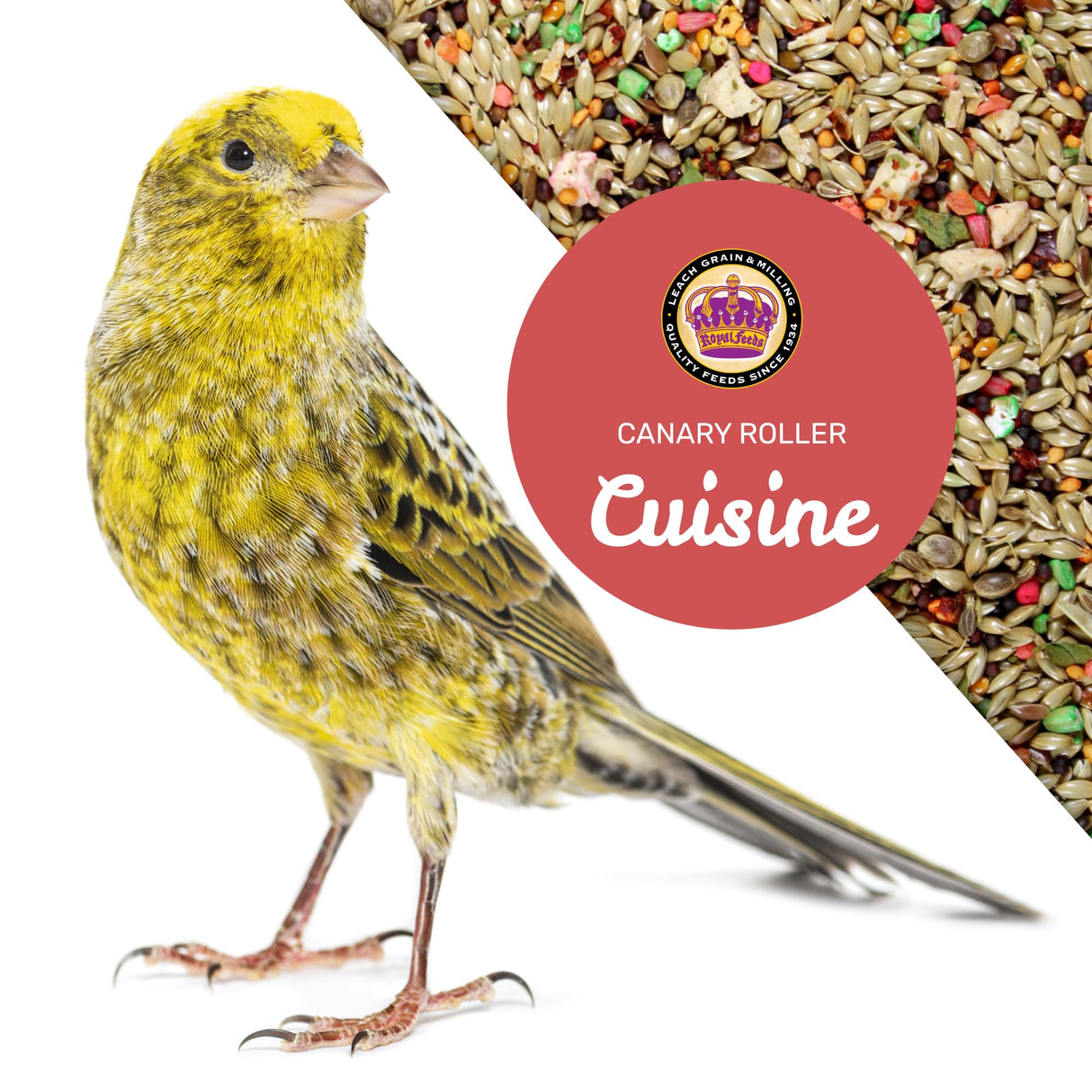 Canary Cuisine 4 Lbs, Premium Mixed Fruit and Birdseed with Essential Vitamins and Minerals, Canary Bird Food, Supports Daily Energy Growth & Healthy Balanced Diet, Bird Seed for Pet Birds