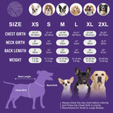 cyeollo 2 Pack Tie Dye Dog Dress Puppy Dress Soft Breathable Dog Clothes for Small Dogs Girl Outfit Pet Apparel, Tie Dye+Flower, XS