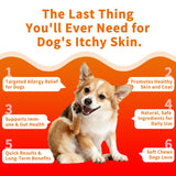 Pawnnergy Dog Allergy & Itch Relief Chews - Salmon Oil Omega-3, Omega-6, Vitamin B1/B2/B6, Colostrum Probiotics Supplement for Seasonal Allergy, Hot Spots, Paw Licking, Scratching, 100 Soft Chews