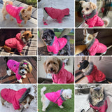 PETLESO Dog Coat for Small Dogs, Winter Pet Warm Jacket Cold Weather Windproof Puffer Jacket with Leash Hole, Button Fixable Hat, Pink XXL