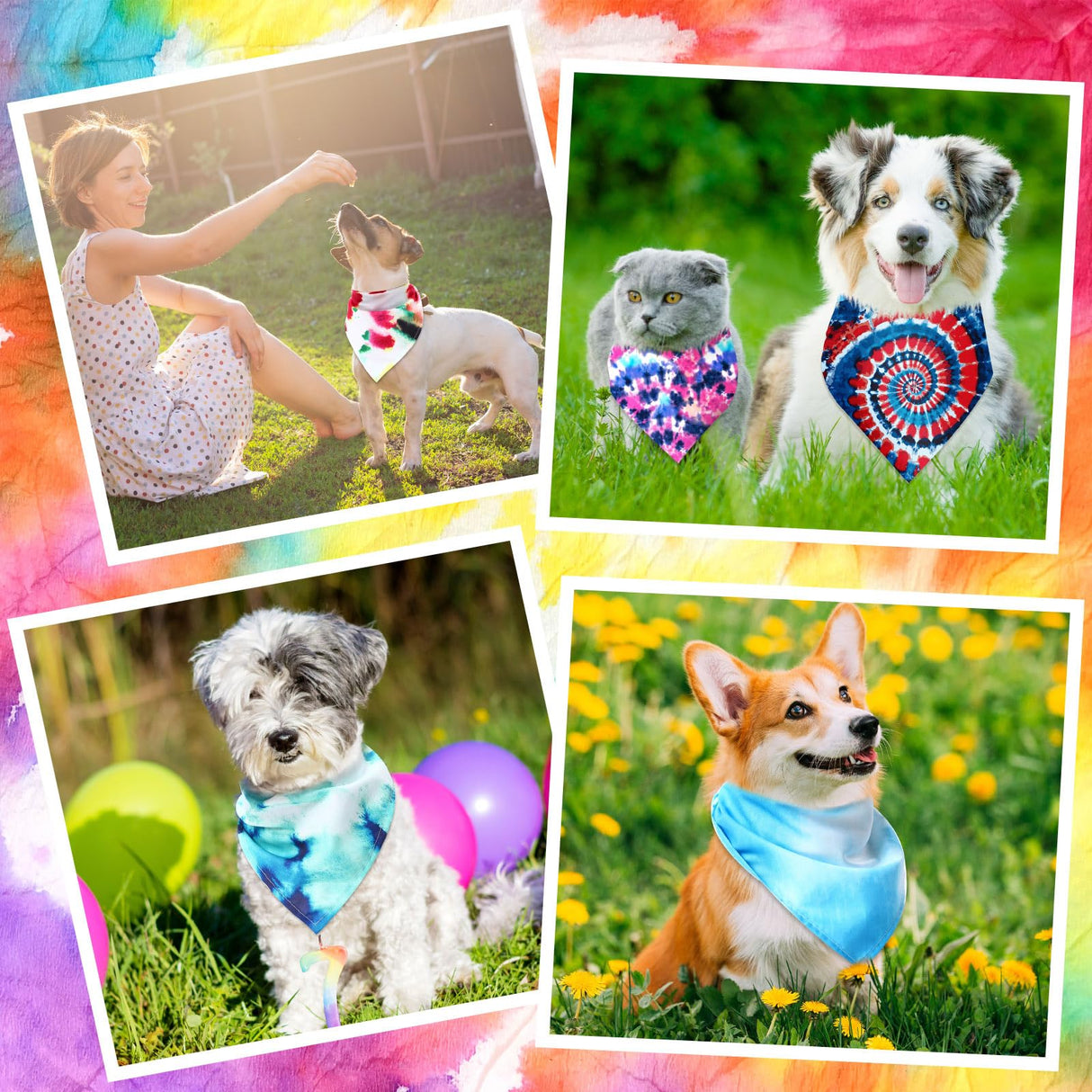 Reginary 72 Pack Tie Dye Dog Bandanas - Bulk Pet Scarf Bibs Triangle Kerchief Adjustable for Pet Grooming Costume Accessories