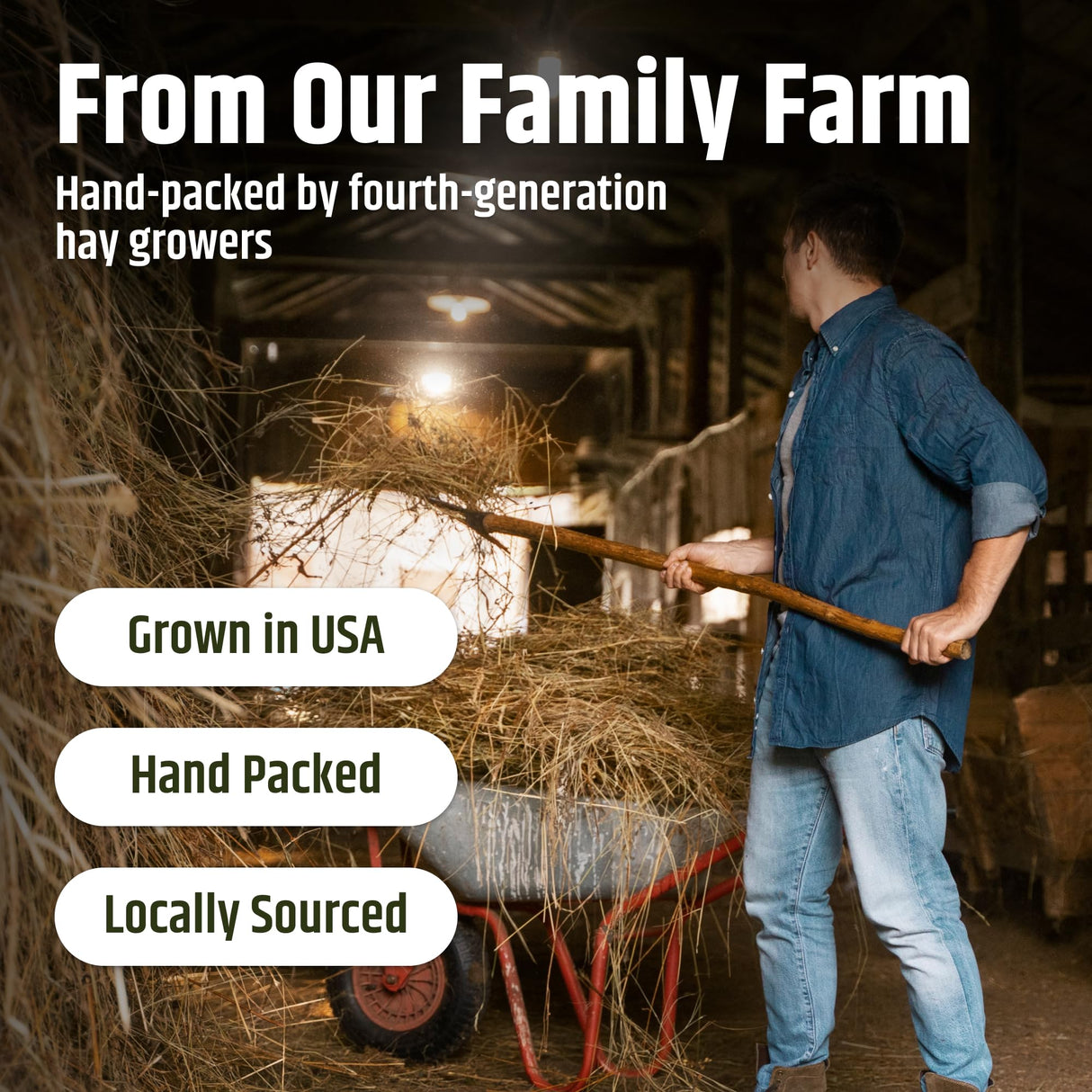 High Desert Alfalfa Hay, Protein Rich Soft Leaf Food for Young Growing Animals, Natural Rabbit Food and Guinea Pig Hay, Supports Digestive Health, Small Pet Supplies, Fresh Hand Packed 5 Lb Box