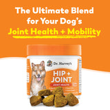 Dr. Harvey's Hip & Joint Soft Chews for Dogs, Daily Mobility Supplement Chewable Bites for Dogs with Glucosamine, Chondroitin & MSM, Green Lipped Mussel, Chicken Flavor (90 Chews)