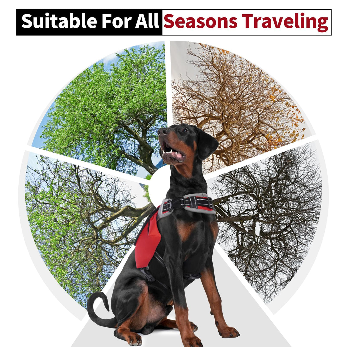 DENTRUN Dog Hiking Backpack, Hound Dog Saddlebag Backpack, Nylon Dog Harness Vest with Side Pockets Hiking Pack, Dog Backpack Hiking Walking Training Running for Medium & Large Dogs