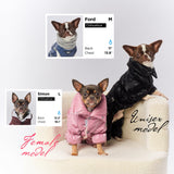 PETBARONET Winter Dog Coat for Female Pups with Full Belly Coverage, Girl Dog Clothes, Snow Jacket for Dogs, Snowsuit, Winter Coat for Dogs for Cold Weather, Ideal for Small Medium Dogs (X-Large)
