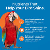 UnRuffledRx FeatherUp! Bird Molting Support & Feather Growth Supplement - for Plucking, Regrowth & Molt - Multivitamin & Amino Acids for All Birds - 90g (240 Servings)