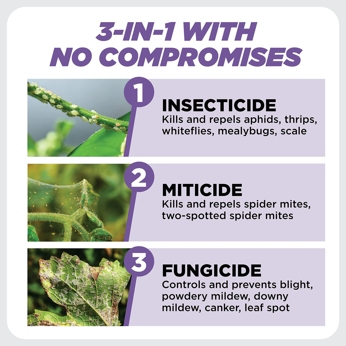Earth's Ally 3-in-1 Plant Spray Concentrate | Insecticide, Fungicide & Spider Mite Control, Use on Indoor and Outdoor Plants, Gardens & Trees - Insect & Pest Repellent, 8oz, Super Concentrate