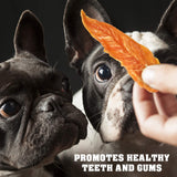Beloved Pets Dog Treats Chicken Jerky 1.5 lb – Dog Food & High Protein Chews for Large, Medium & Small Breeds – Natural Healthy Training Snacks Strips – Human Grade Bulk Soft Pack – Made for USA