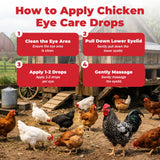 FRONTGUARD Chickens Eye Care Drops for Chickens, Ducks & Birds – Improve The Eye Health – Improve Egg Quality – Supports Clear Vision & Healthy Eyes – 15 mL (0.5 fl oz)