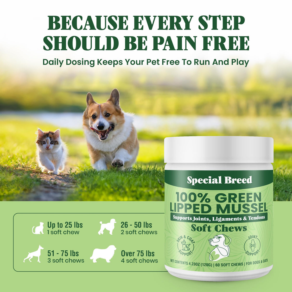 Green Lipped Mussel for Dogs & Cats - 60 Soft Chews - New Zealand Green Lipped Mussels - Natural Hip & Joint Supplement for Joints, Tendons, Ligaments, Muscles