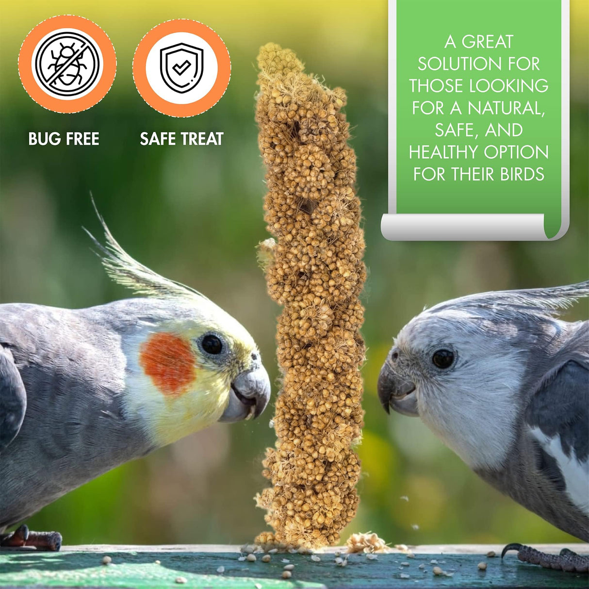 Vivlly 5LBS GMO-Free Sun Dried Spray Millet - Original Bird Treat Millet for Parakeets, Cockatiels, Finches & More - Non-GMO, High in Amino Acids, Easy Storage, Tasty & Healthy Bird Snacks (5 lbs)