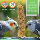 Vivlly 5LBS GMO-Free Sun Dried Spray Millet - Original Bird Treat Millet for Parakeets, Cockatiels, Finches & More - Non-GMO, High in Amino Acids, Easy Storage, Tasty & Healthy Bird Snacks (5 lbs)
