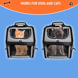 Zeus Urban Expandable Pet Backpack Carrier – Dog & Cat, Bonus 2 Collapsible Pet Bowls, Travel Bag with 4-Way Entry, Mesh Windows, Storage Pockets, Secure Zippers, Washable Cushion