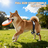 Yinchogee Dog Hip Brace for Hip Dysplasia, Adjustable Dog Hip Support Brace with Targeted Compression, Stabilizes Joints, Relieves Pain from Arthritis, XL