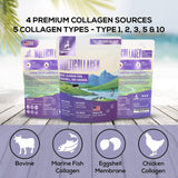 Multi-Collagen Peptide Daily Liquid Collagen for Dogs, Dog Collagen, Eggshell Powder Membrane for Dogs - Arthritis, Skin & Coat Health, Allergies,Dog Mobility Hip & Joint Pain Joint Supplement Relief
