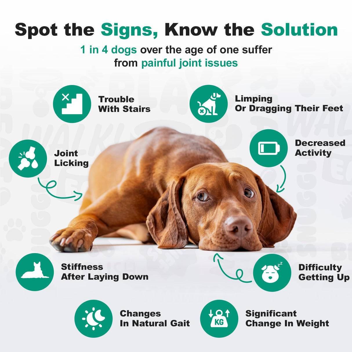 Doggie Dailies, Hip and Joint Supplement for Dogs, Glucosamine Chondroitin, Premium Hip and Joint Chews for Dogs All Breeds & Sizes, Dog Vitamins and Supplements, (Chicken) 225 Chews