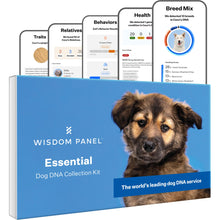 Load image into Gallery viewer, Wisdom Health Essential Dog DNA Kit | Most Accurate Test | 365+ Breeds | 30 Genetic Health Conditions | 50+ Traits, Relatives, Ancestry | Pack of 1
