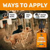 Natural Antibiotics for Dogs for Allergies, Infections, Coughs, Digestive Moments – Dog Antibiotics with Beef Flavor May Support Urination and Breathing – Organic Composition with Cranberry – 2 Oz